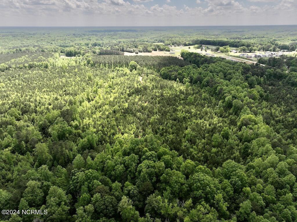 0 Buck Road Middlesex, NC 27557 - Photo 12 of 51 7