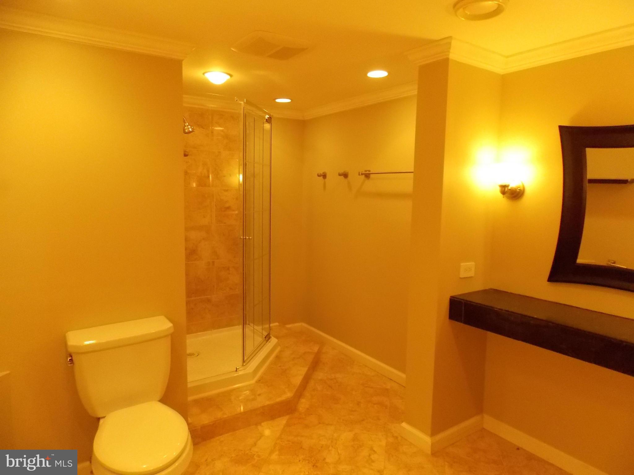 9325 Raintree Road Burke, VA 22015 - Photo 23 of 30 Bathroom #3