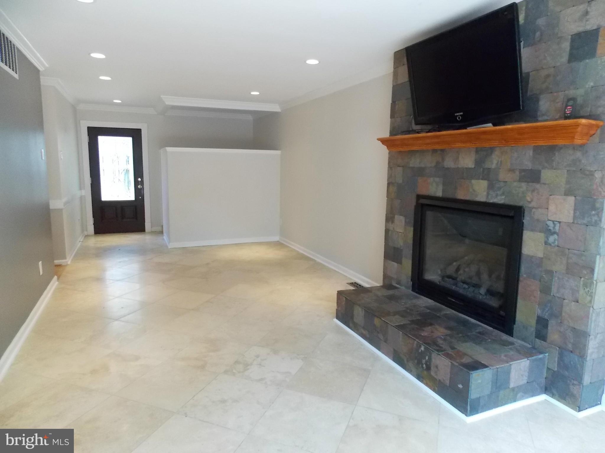 9325 Raintree Road Burke, VA 22015 - Photo 24 of 30 Fireplace