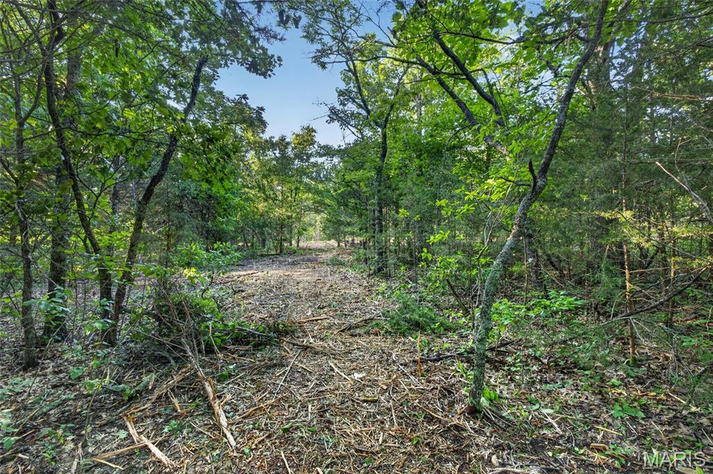5 Cantrell Road Mansfield, MO 65704 - Photo 6 of 16
