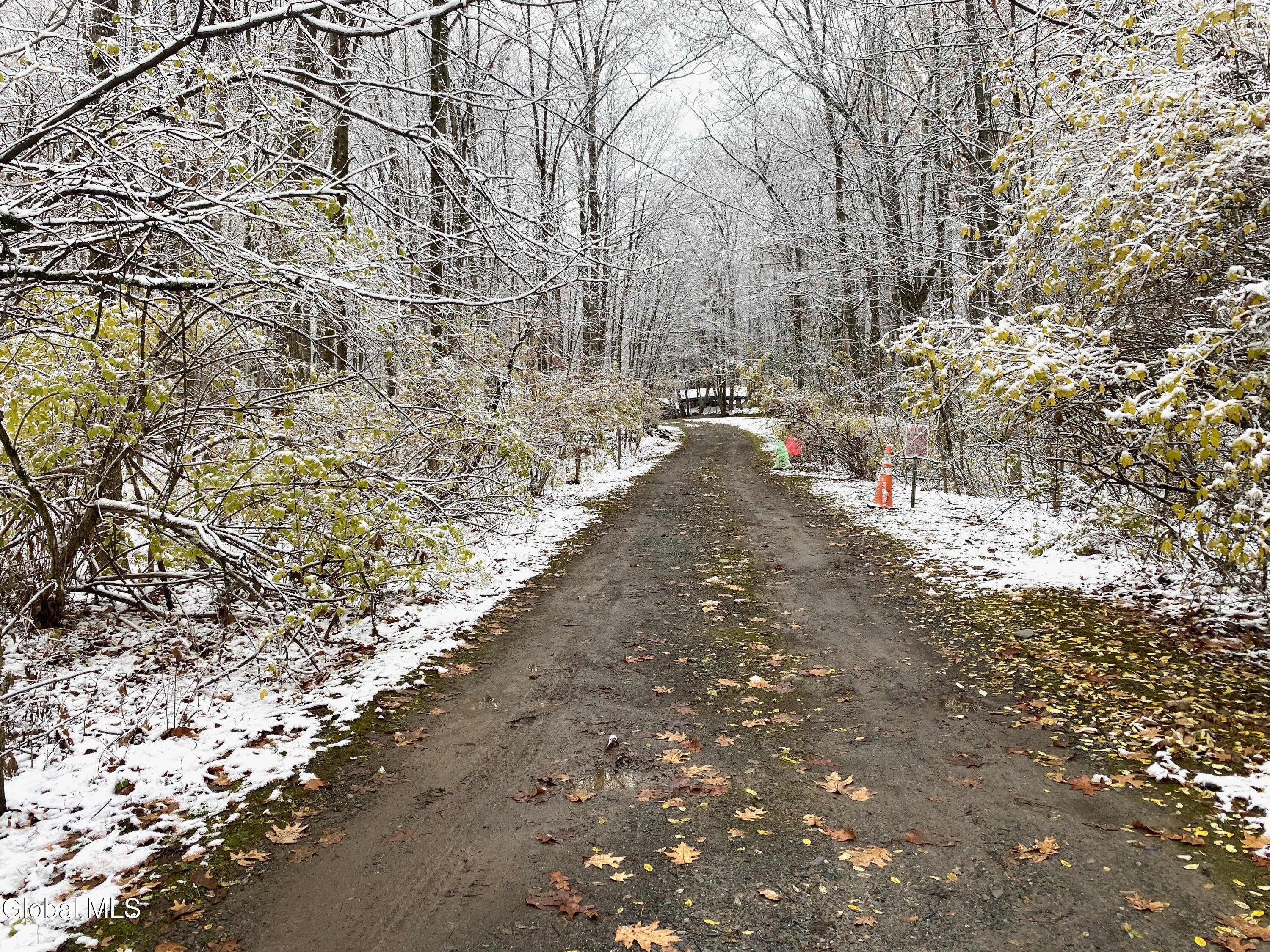 75 Cedar Ridge Way Fort Ann, NY 12827 - Photo 45 of 47 c - 40