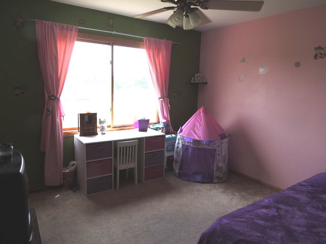 7 Emily Drive Spring Valley, IL 61362 - Photo 13 of 24
