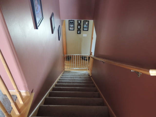 7 Emily Drive Spring Valley, IL 61362 - Photo 21 of 24