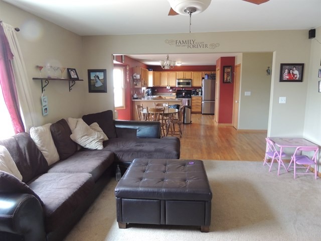 7 Emily Drive Spring Valley, IL 61362 - Photo 5 of 24