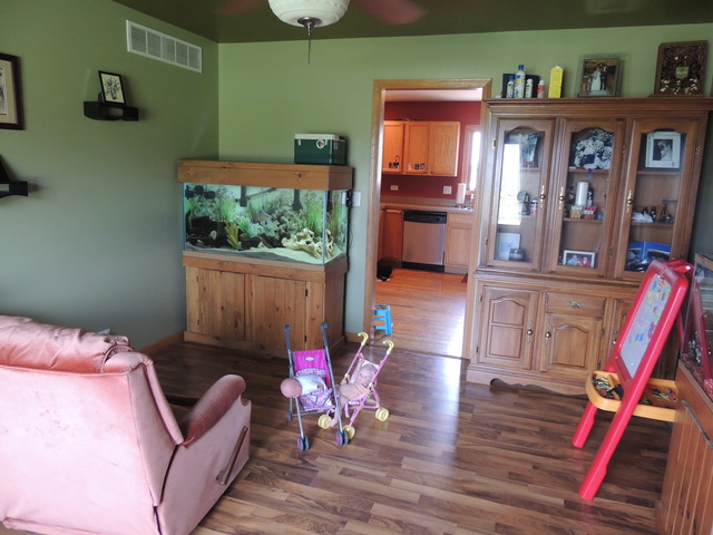 7 Emily Drive Spring Valley, IL 61362 - Photo 9 of 24