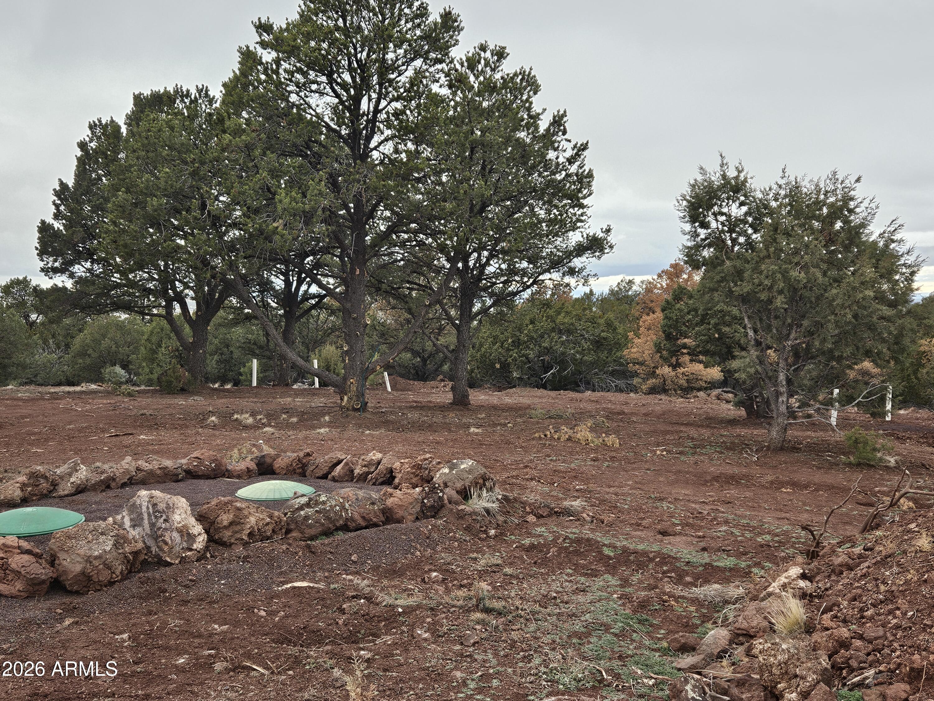 Lot 20 Mountain Pine Road, Unit 20 Show Low, AZ 85901 - Photo 11 of 22 20260123_162531