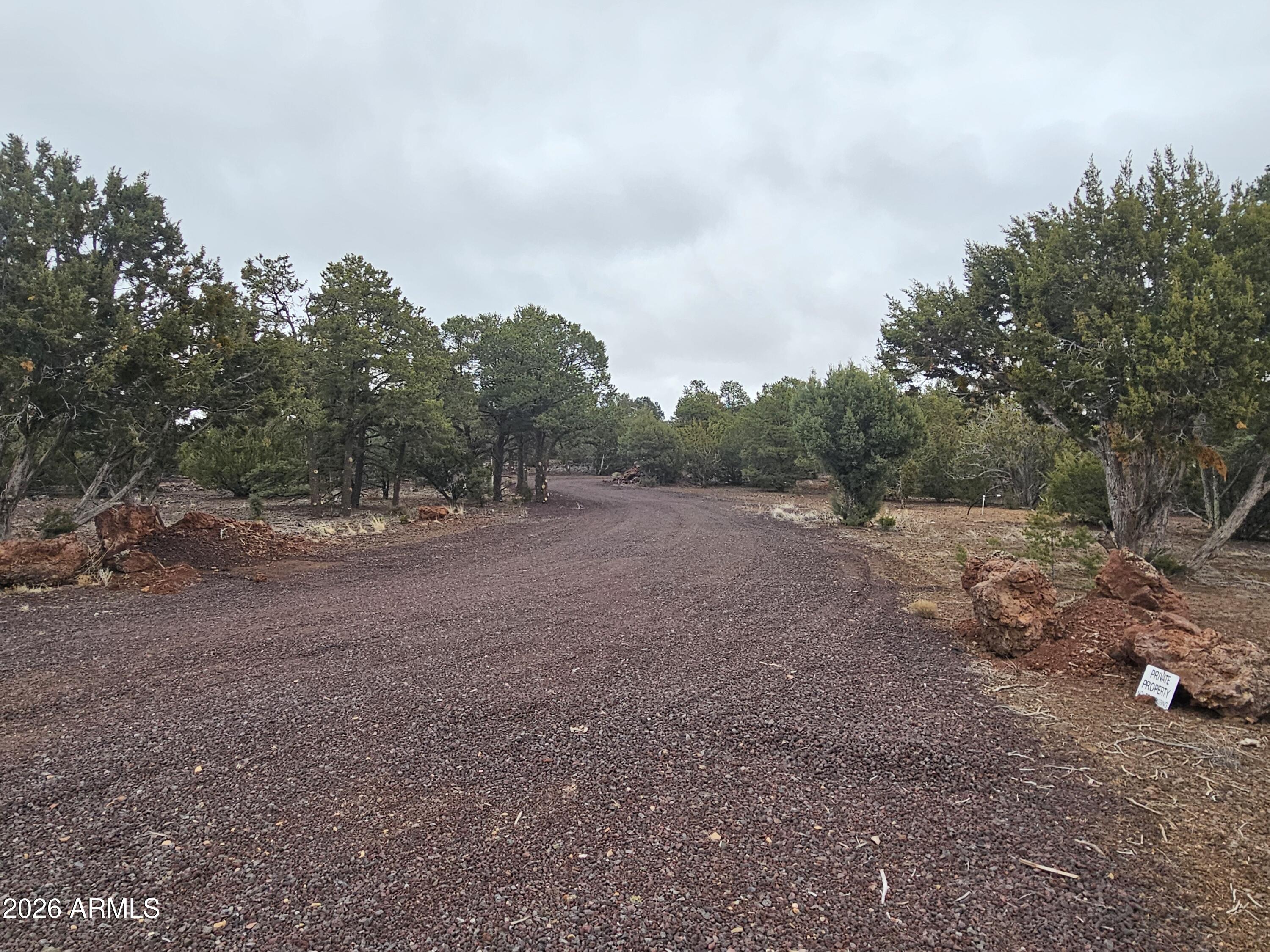 Lot 20 Mountain Pine Road, Unit 20 Show Low, AZ 85901 - Photo 16 of 22 20260123_162128