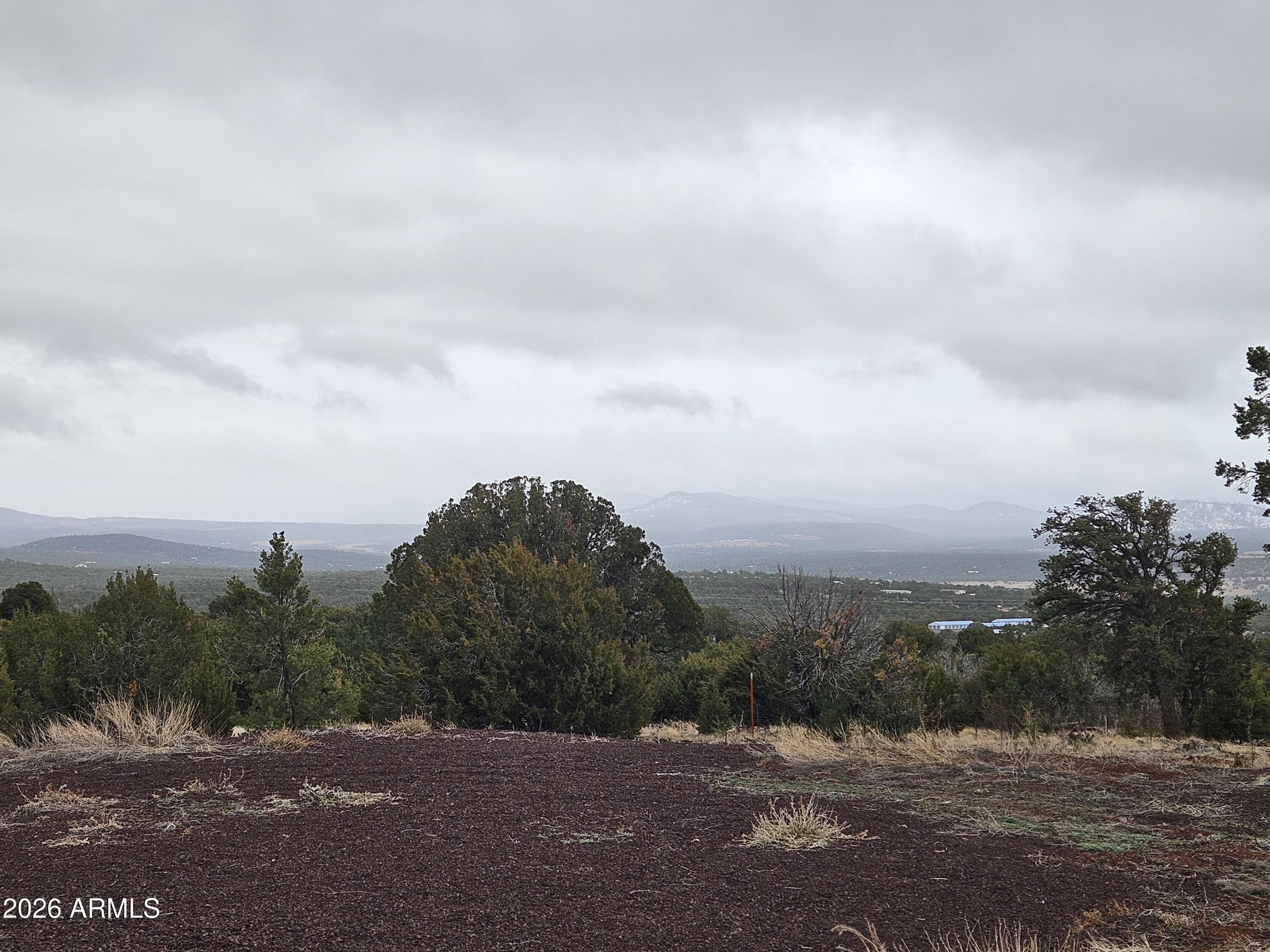 Lot 20 Mountain Pine Road, Unit 20 Show Low, AZ 85901 - Photo 18 of 22 20260123_162648