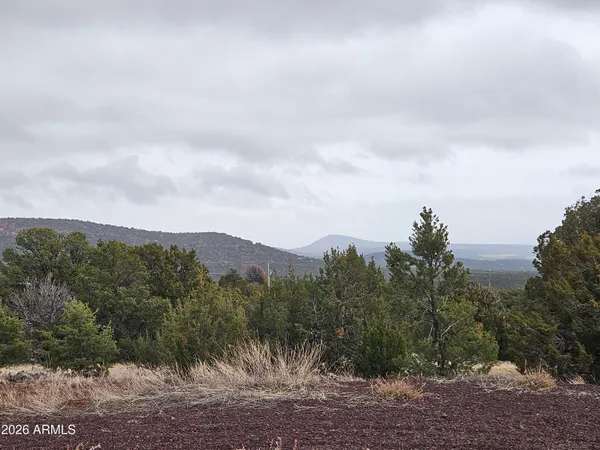 $140,000 | Lot 20 Mountain Pine Road, Unit 20, Show Low, AZ 85901