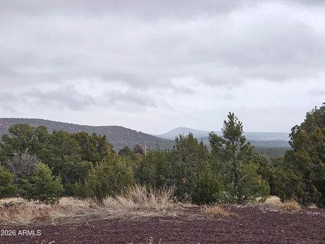 $140,000 | Lot 20 Mountain Pine Road, Unit 20, Show Low, AZ 85901