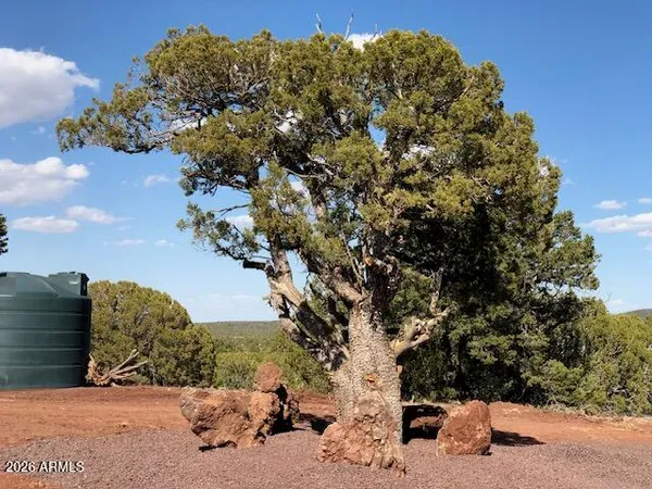 a view of outdoor space with trees