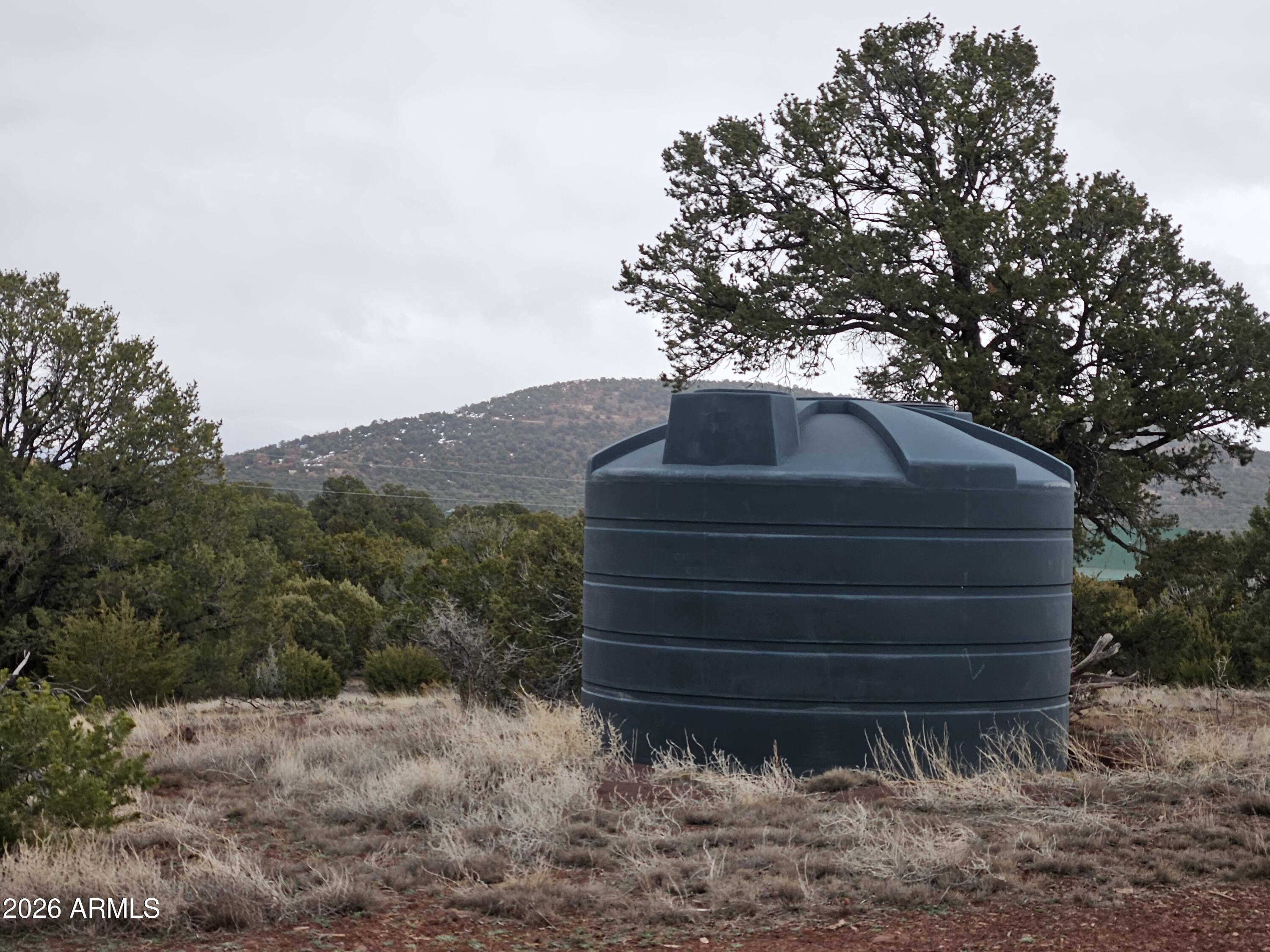 Lot 20 Mountain Pine Road, Unit 20 Show Low, AZ 85901 - Photo 10 of 22 20260123_162623