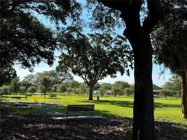 a view of a backyard of the house