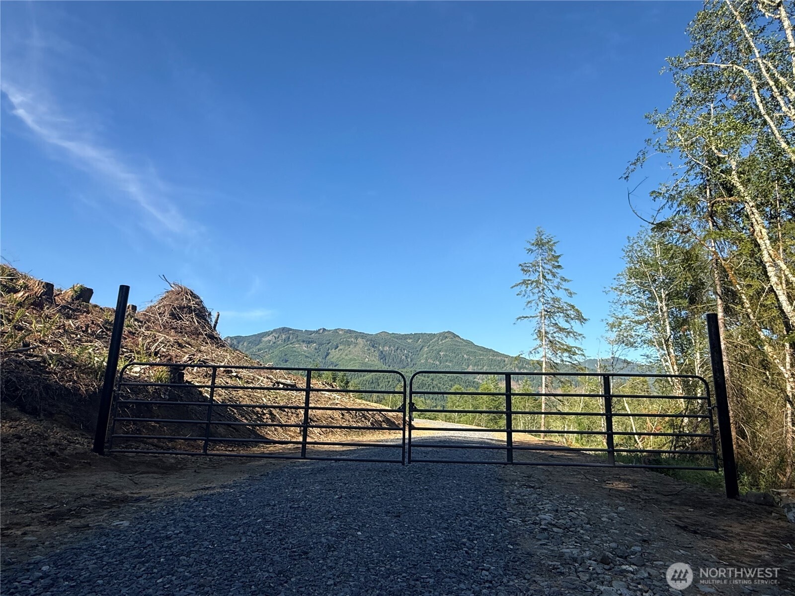 215 Mineral Road North Mineral, WA 98355 - Photo 2 of 29