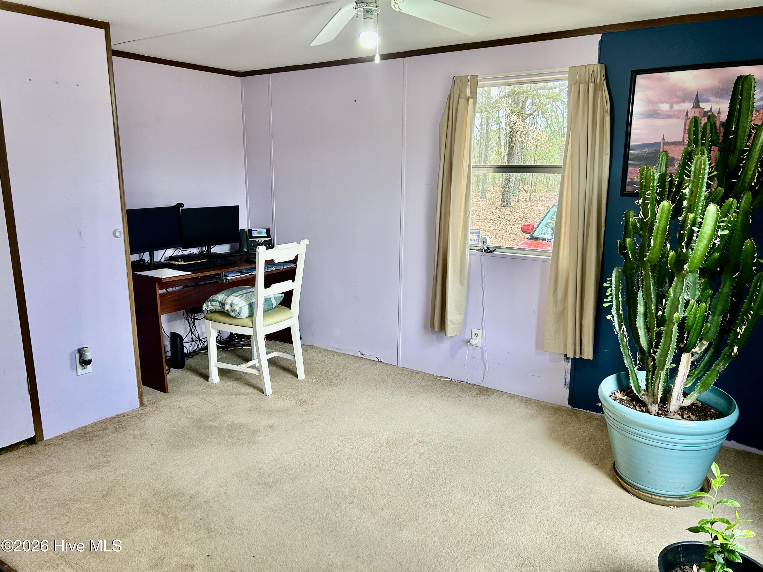 12721 Pea Bridge Road Laurinburg, NC 28352 - Photo 12 of 14 Bedroom 2