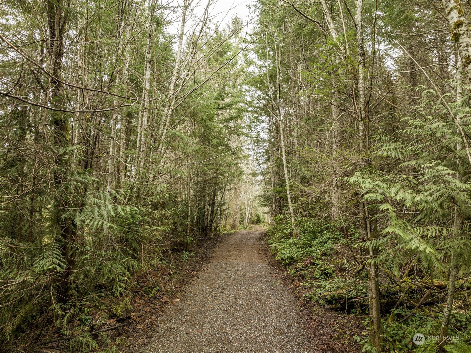 594 Camp Hayden Road Port Angeles, WA 98363 - Photo 1 of 22 Gallery Image 1