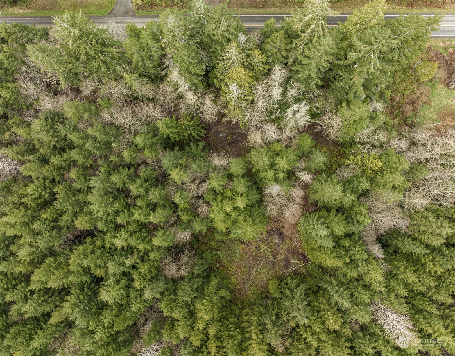 594 Camp Hayden Road Port Angeles, WA 98363 - Photo 5 of 22 Gallery Image 5