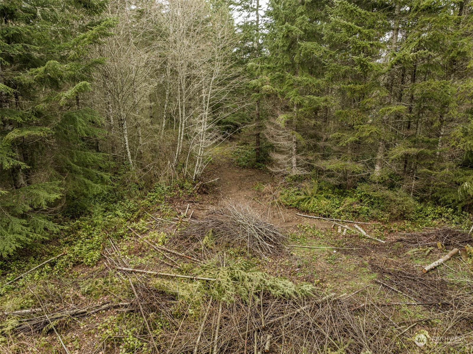 594 Camp Hayden Road Port Angeles, WA 98363 - Photo 7 of 22 Gallery Image 7