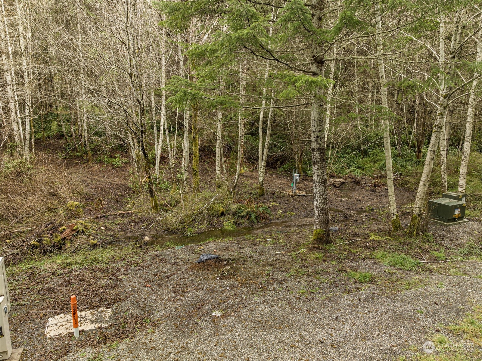 594 Camp Hayden Road Port Angeles, WA 98363 - Photo 8 of 22 Gallery Image 8