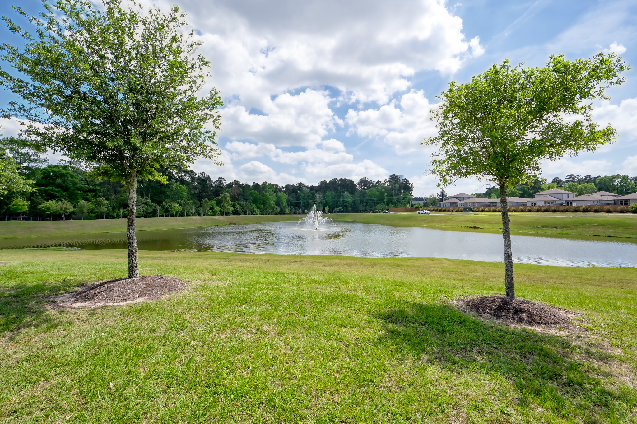 514 Dalloway Street Conroe, TX 77316 - Photo 26 of 27 Scenic community pond offering peaceful views