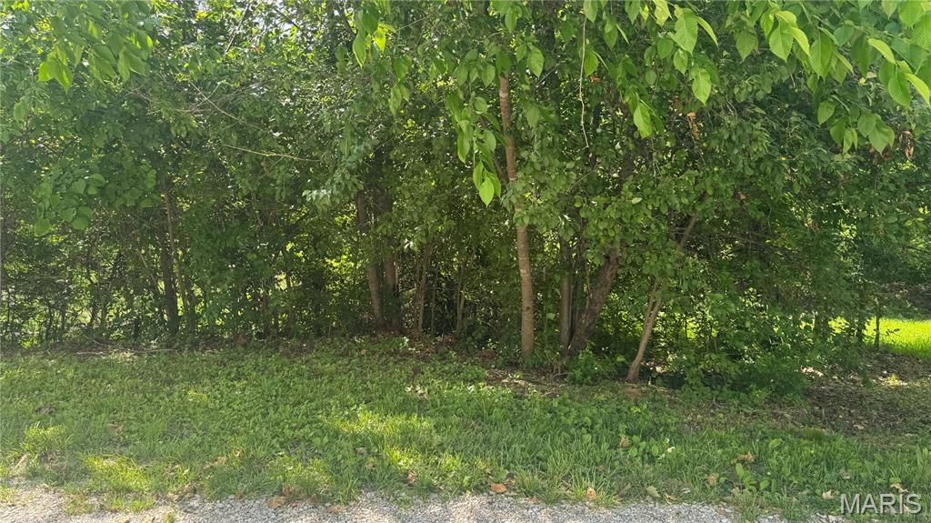 1577 Neff Road St. Clair, MO 63077 - Photo 52 of 68