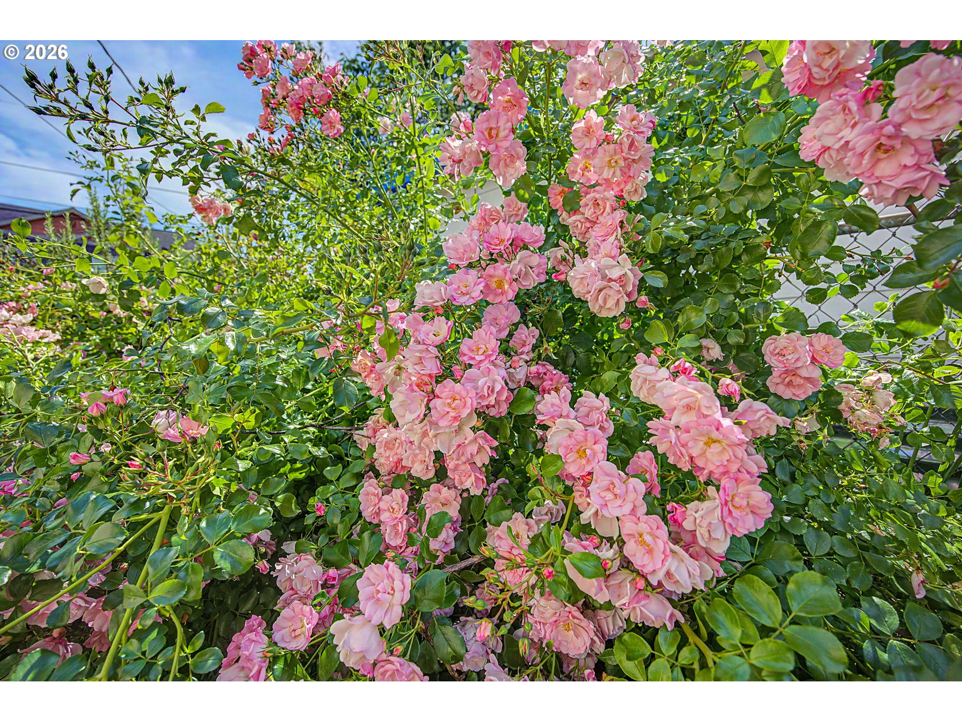 7441 Southeast Rural Street Portland, OR 97206 - Photo 47 of 47