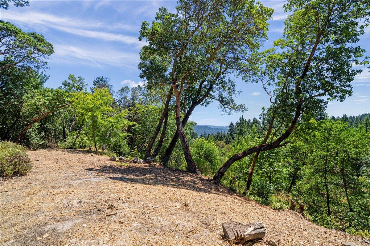 22196 Summit Road Los Gatos, CA 95033 - Photo 30 of 43 Gallery Image 30