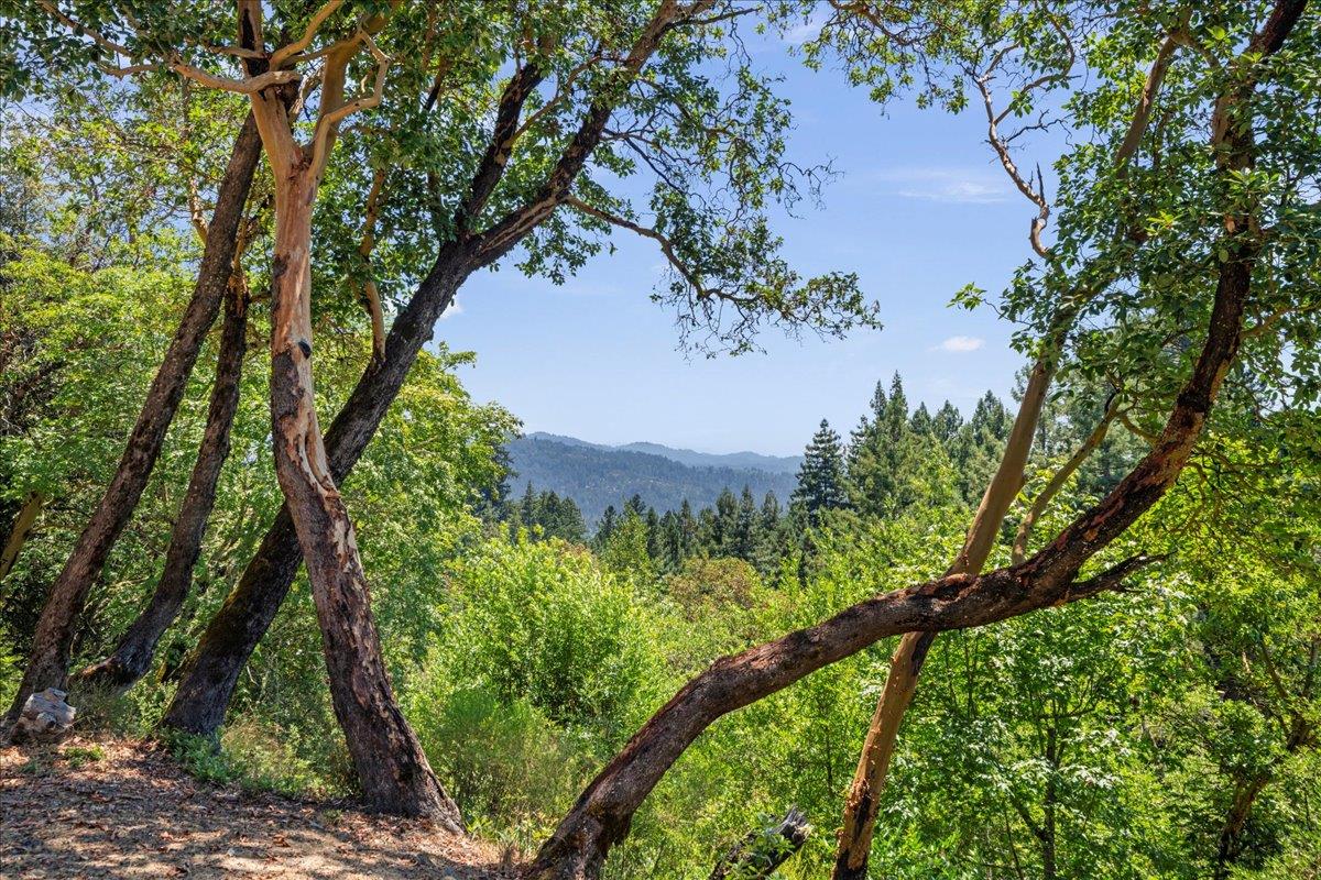 22196 Summit Road Los Gatos, CA 95033 - Photo 39 of 43 Gallery Image 39