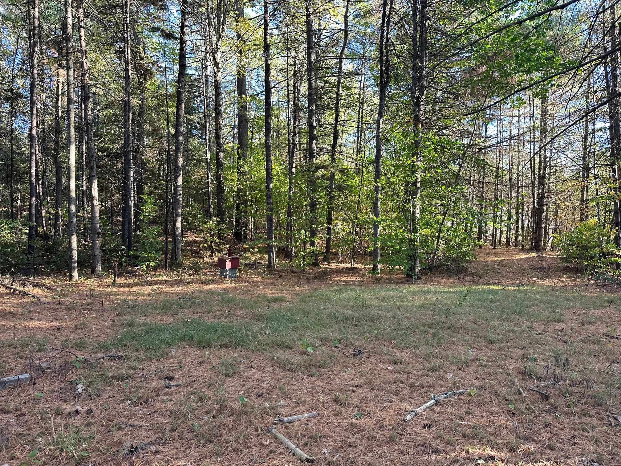 19 Sunrise Hill Road Thornton, NH 03285 - Photo 4 of 9