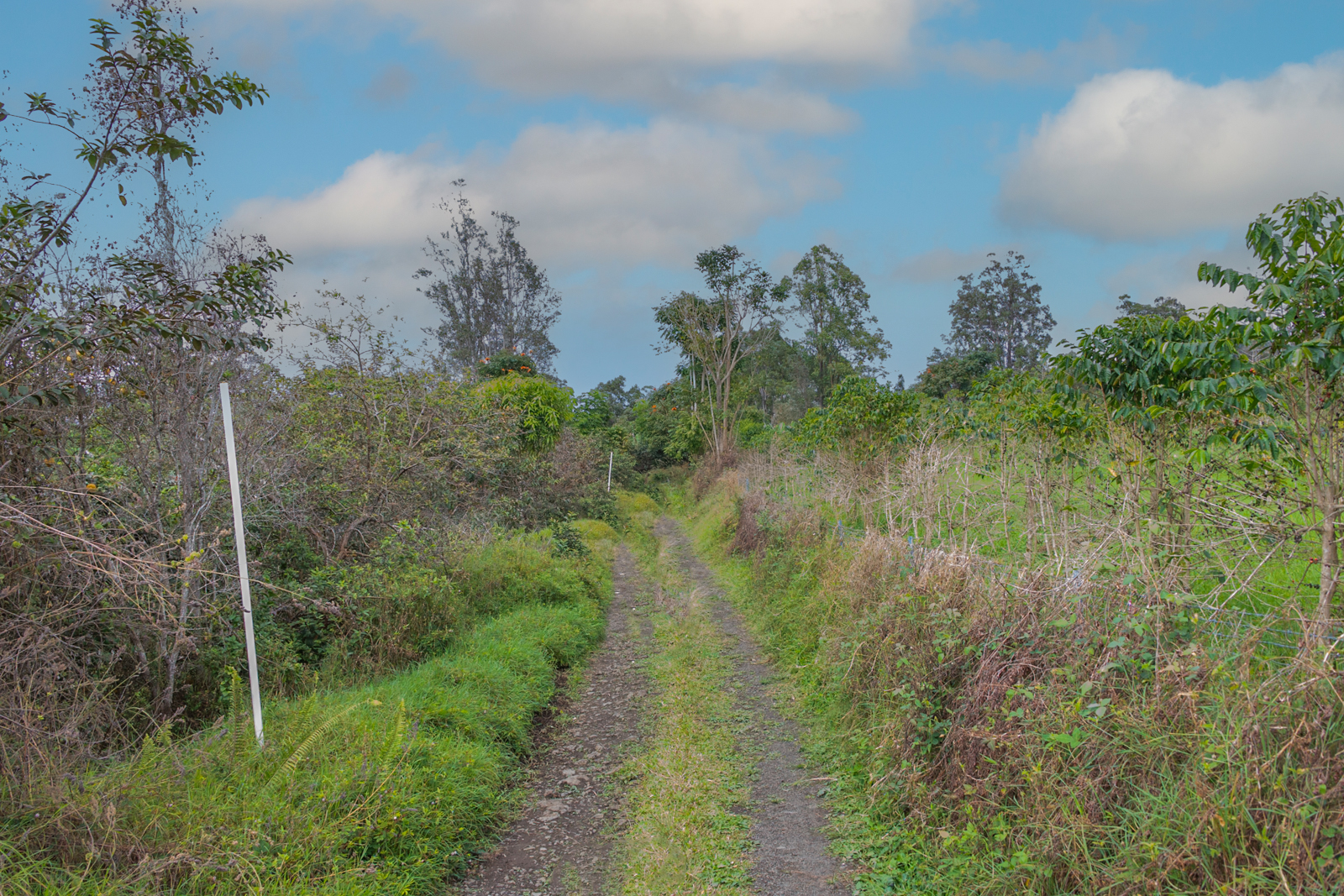 76-1302 Waiono Ranch Road, Unit 1 Holualoa, HI 96725 - Photo 13 of 16