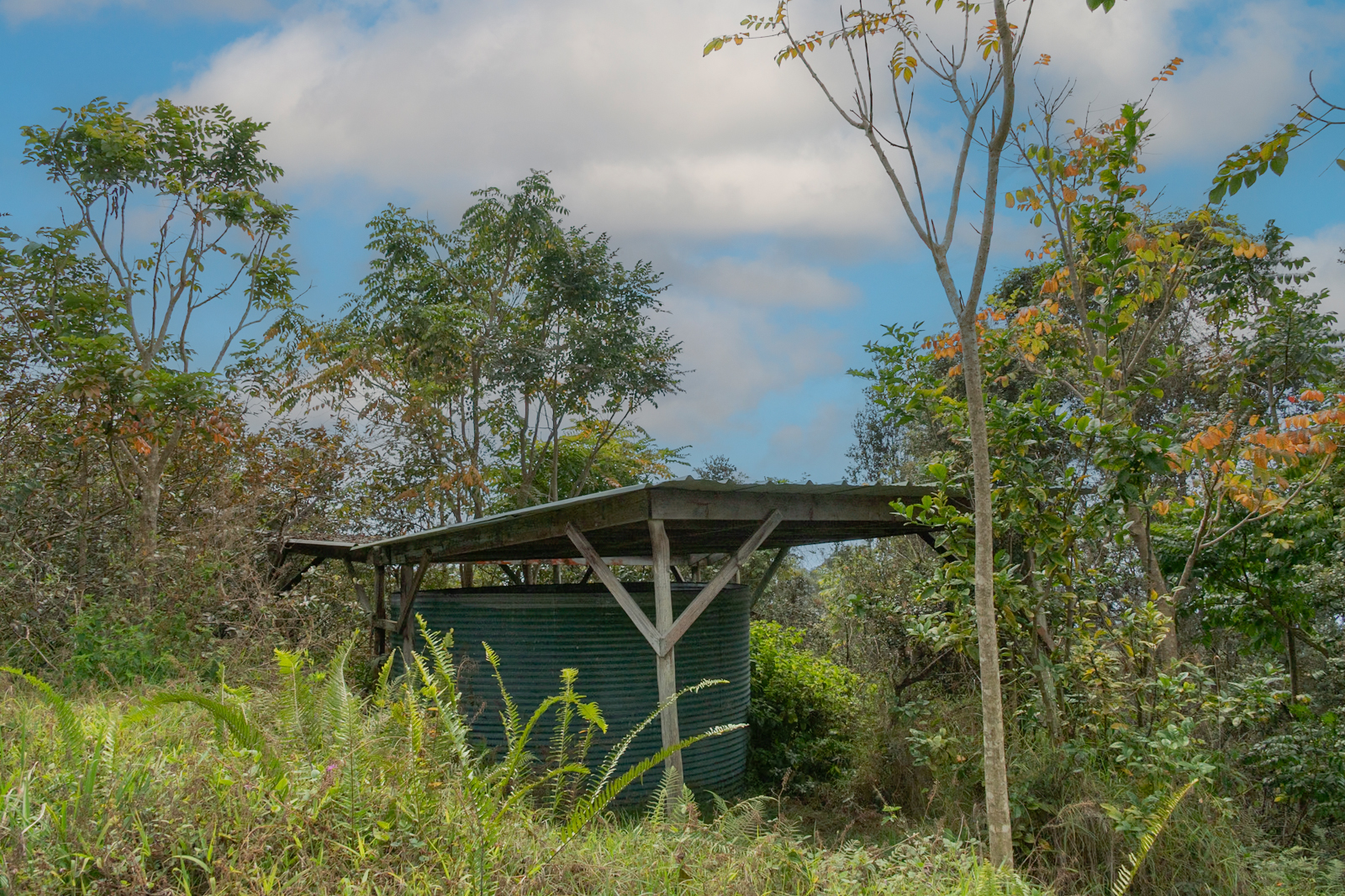 76-1302 Waiono Ranch Road, Unit 1 Holualoa, HI 96725 - Photo 16 of 16