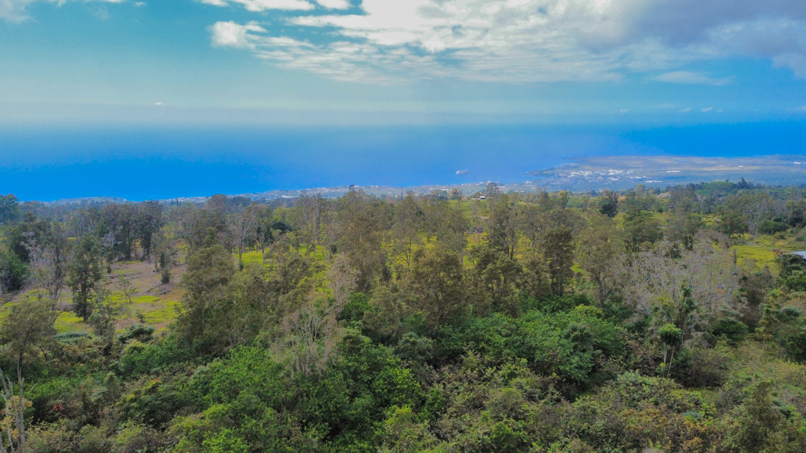 76-1302 Waiono Ranch Road, Unit 1 Holualoa, HI 96725 - Photo 2 of 16