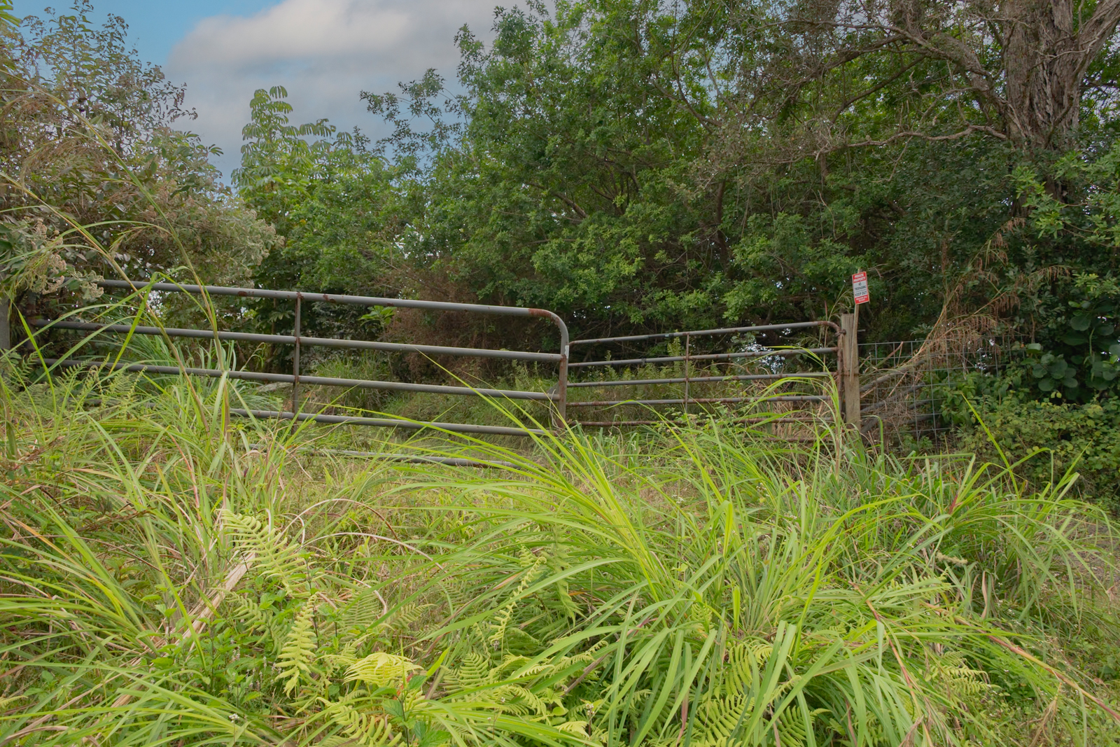 76-1302 Waiono Ranch Road, Unit 1 Holualoa, HI 96725 - Photo 4 of 16