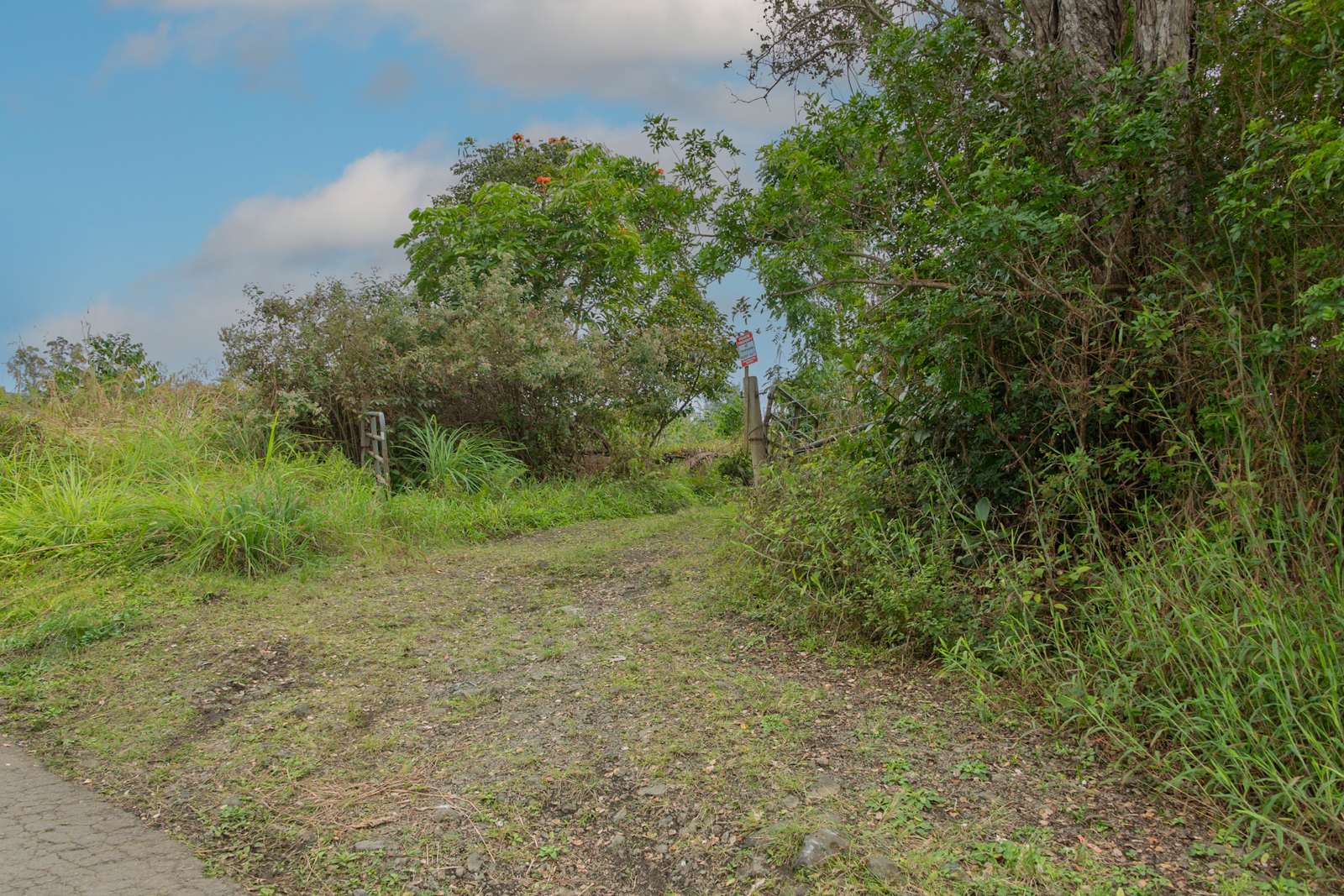 76-1302 Waiono Ranch Road, Unit 1 Holualoa, HI 96725 - Photo 5 of 16