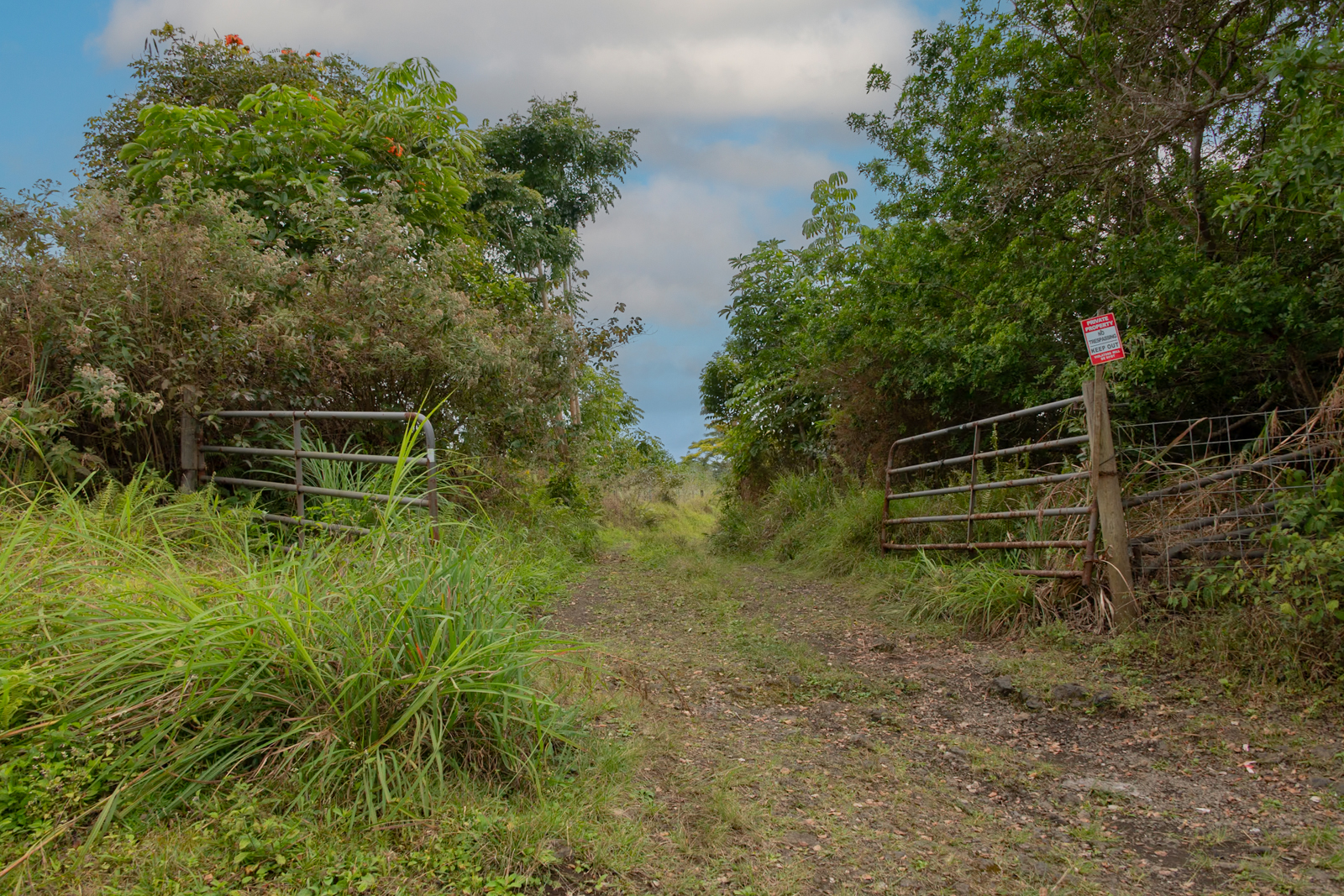 76-1302 Waiono Ranch Road, Unit 1 Holualoa, HI 96725 - Photo 6 of 16