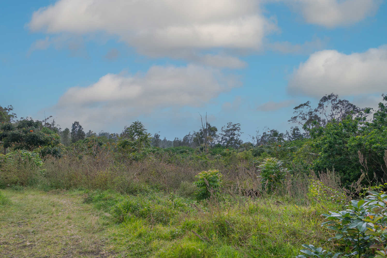 76-1302 Waiono Ranch Road, Unit 1 Holualoa, HI 96725 - Photo 9 of 16