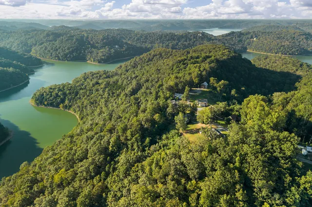 a view of a yard with a tree