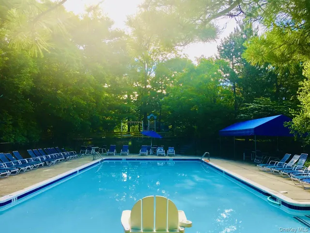 a view of swimming pool with a patio