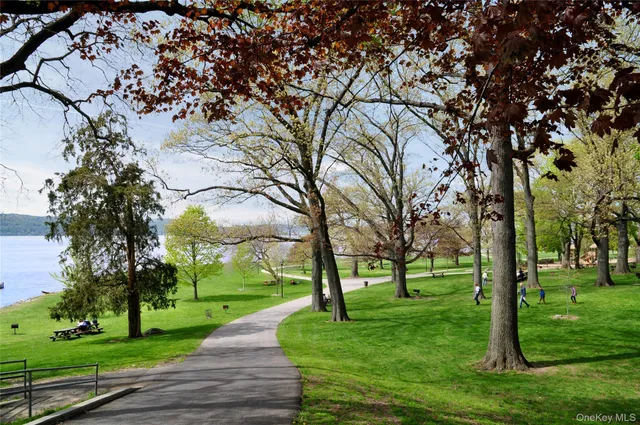 a huge green field with lots of trees