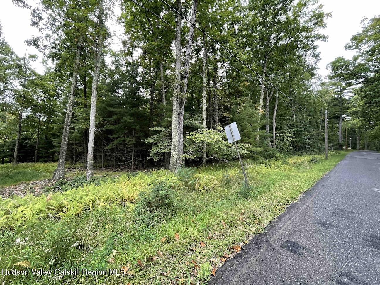 0 Oak Ridge Road Ellenville, NY 12428 - Photo 15 of 18 Hill10ac13
