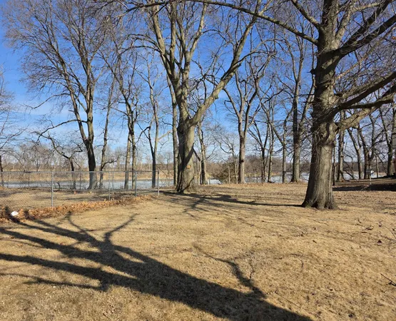 a view of empty space with trees