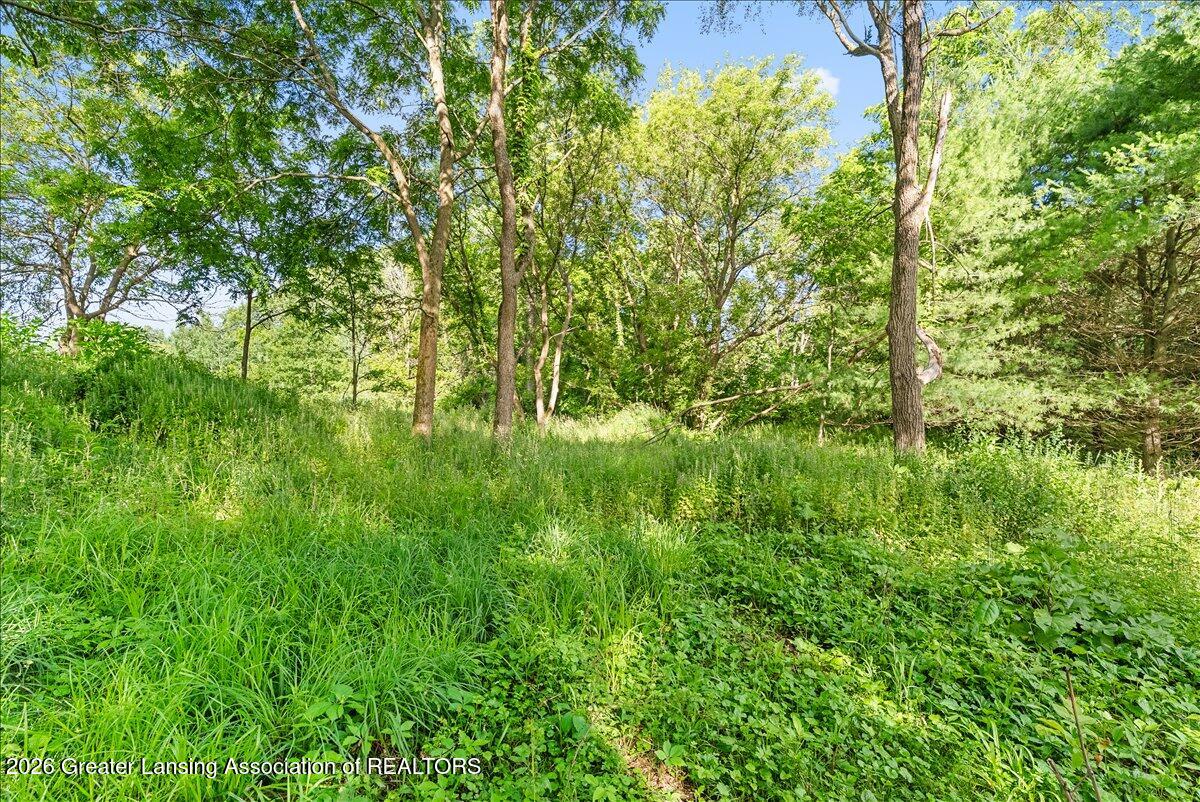 1436 Kelly Road Mason, MI 48854 - Photo 39 of 48