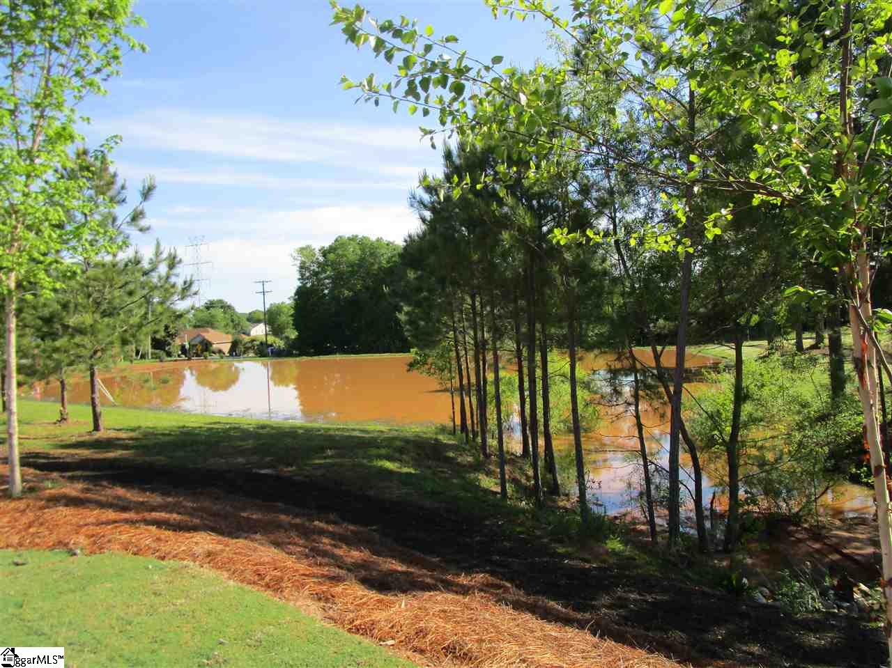 106 Tiger Pond Road Easley, SC 29642 - Photo 28 of 36 Gallery Image 28
