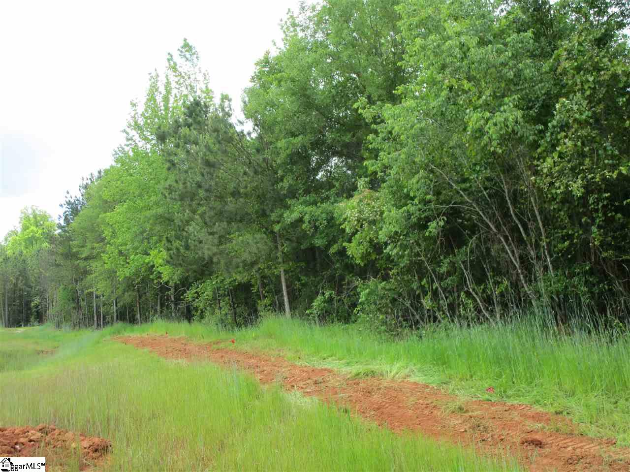 106 Tiger Pond Road Easley, SC 29642 - Photo 35 of 36 Gallery Image 35