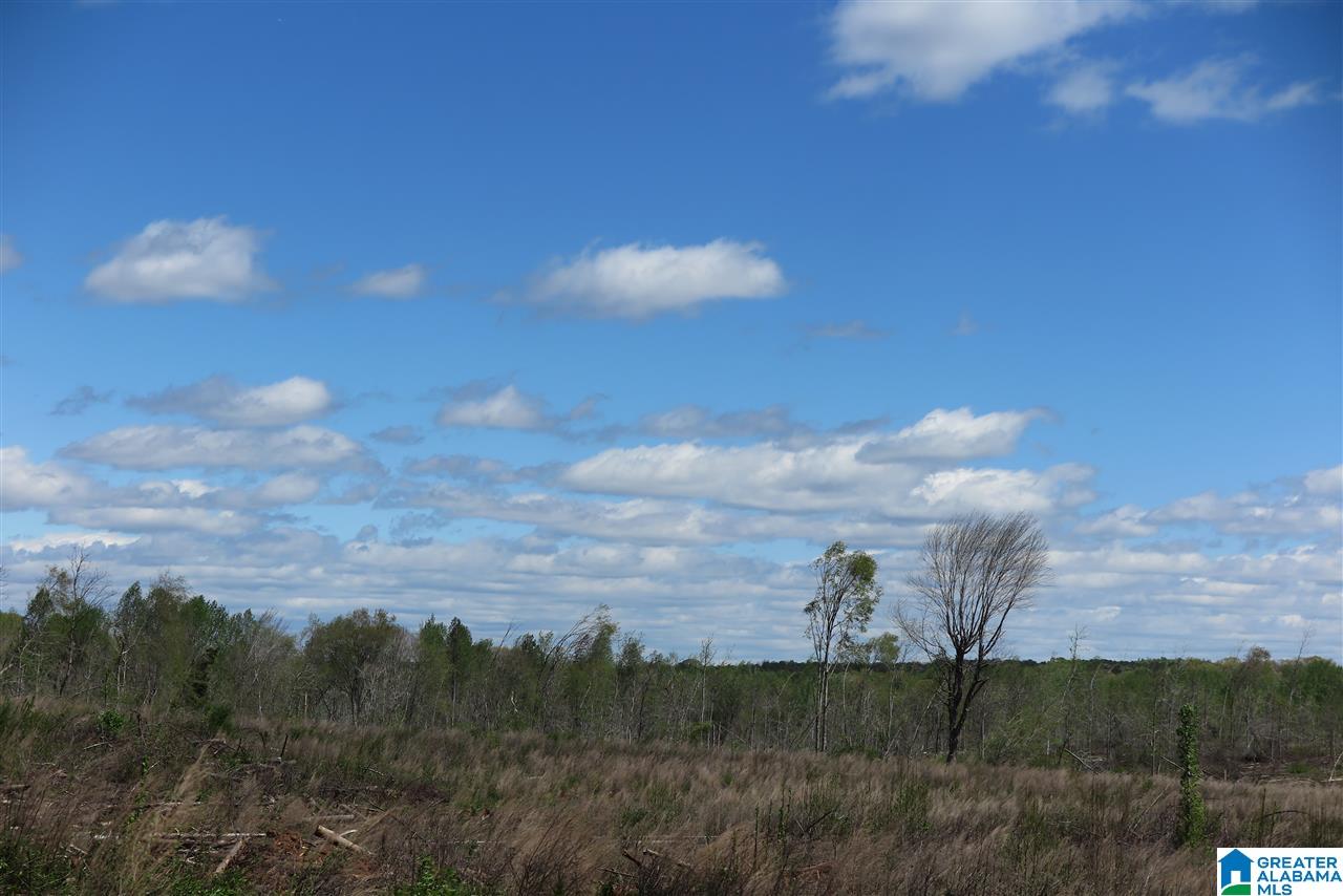 178 County Road, Unit 212 Five Points, AL 36855 - Photo 4 of 7