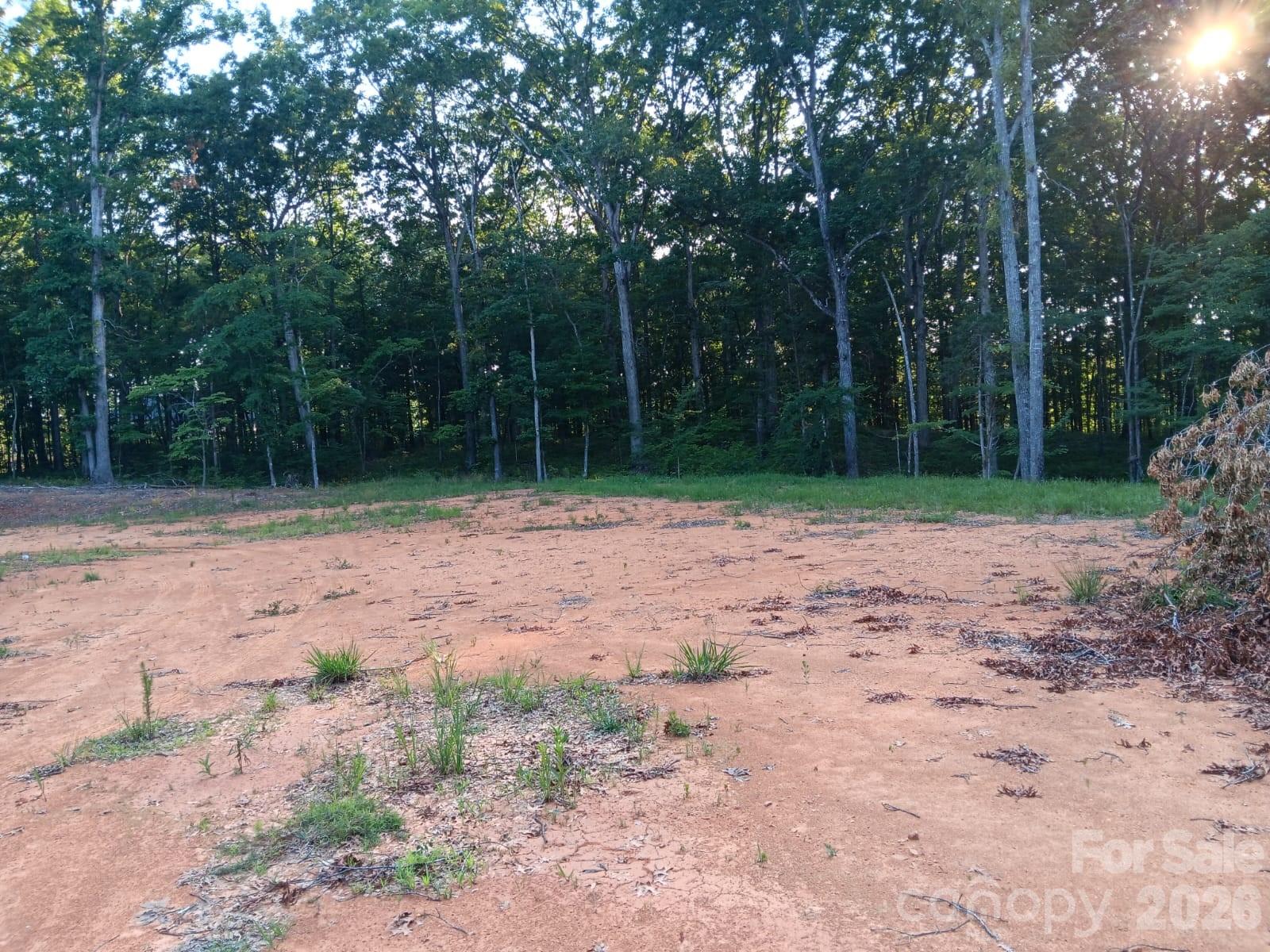 11610 Brief Road, Unit 2 Charlotte, NC 28227 - Photo 8 of 16 a view of outdoor space with trees