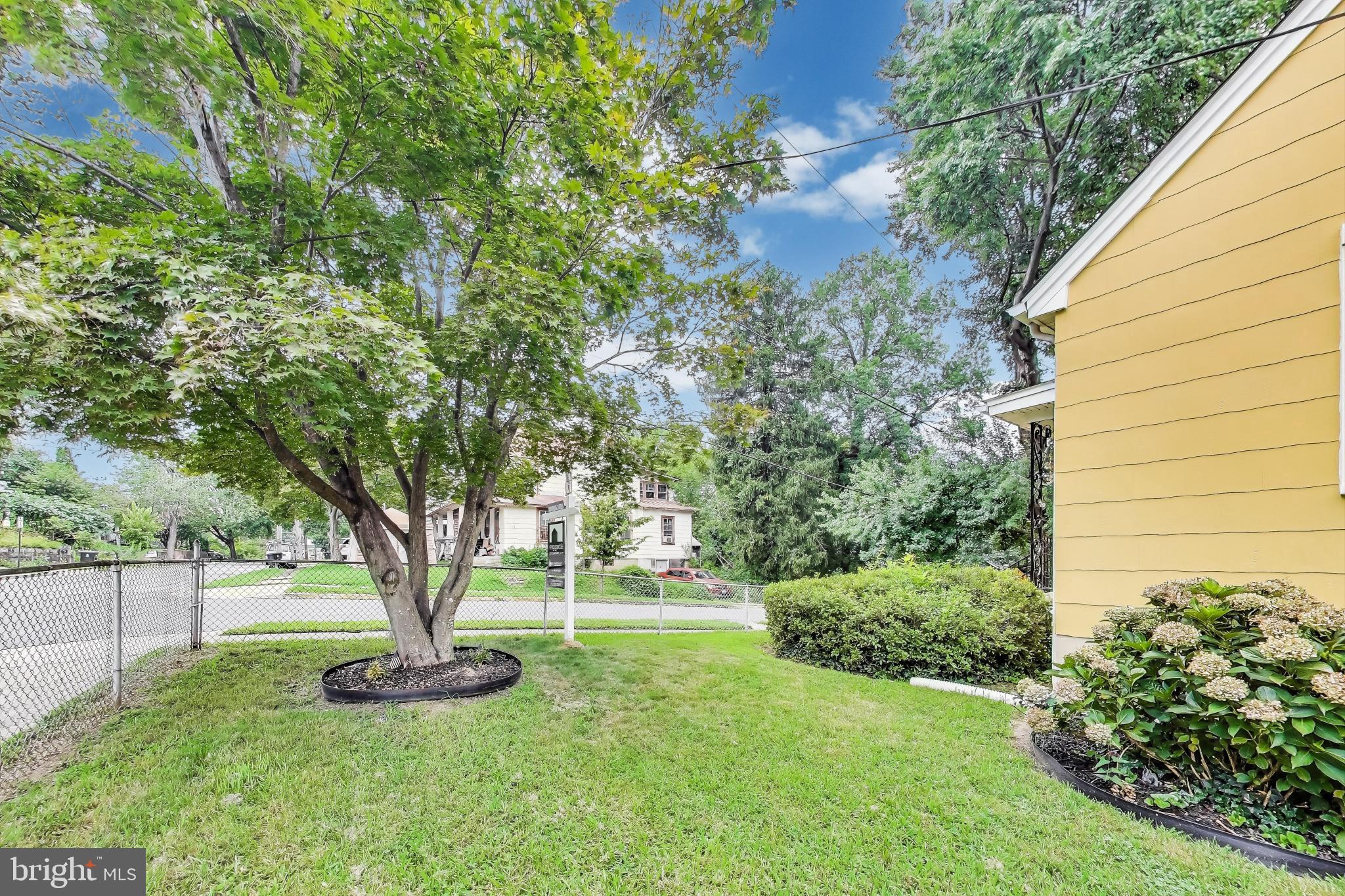 4401 32nd Street Mount Rainier, MD 20712 - Photo 32 of 38 a view of a garden with a tree