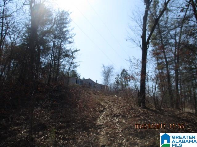 1005 Armstrong Road Remlap, AL 35133 - Photo 1 of 8
