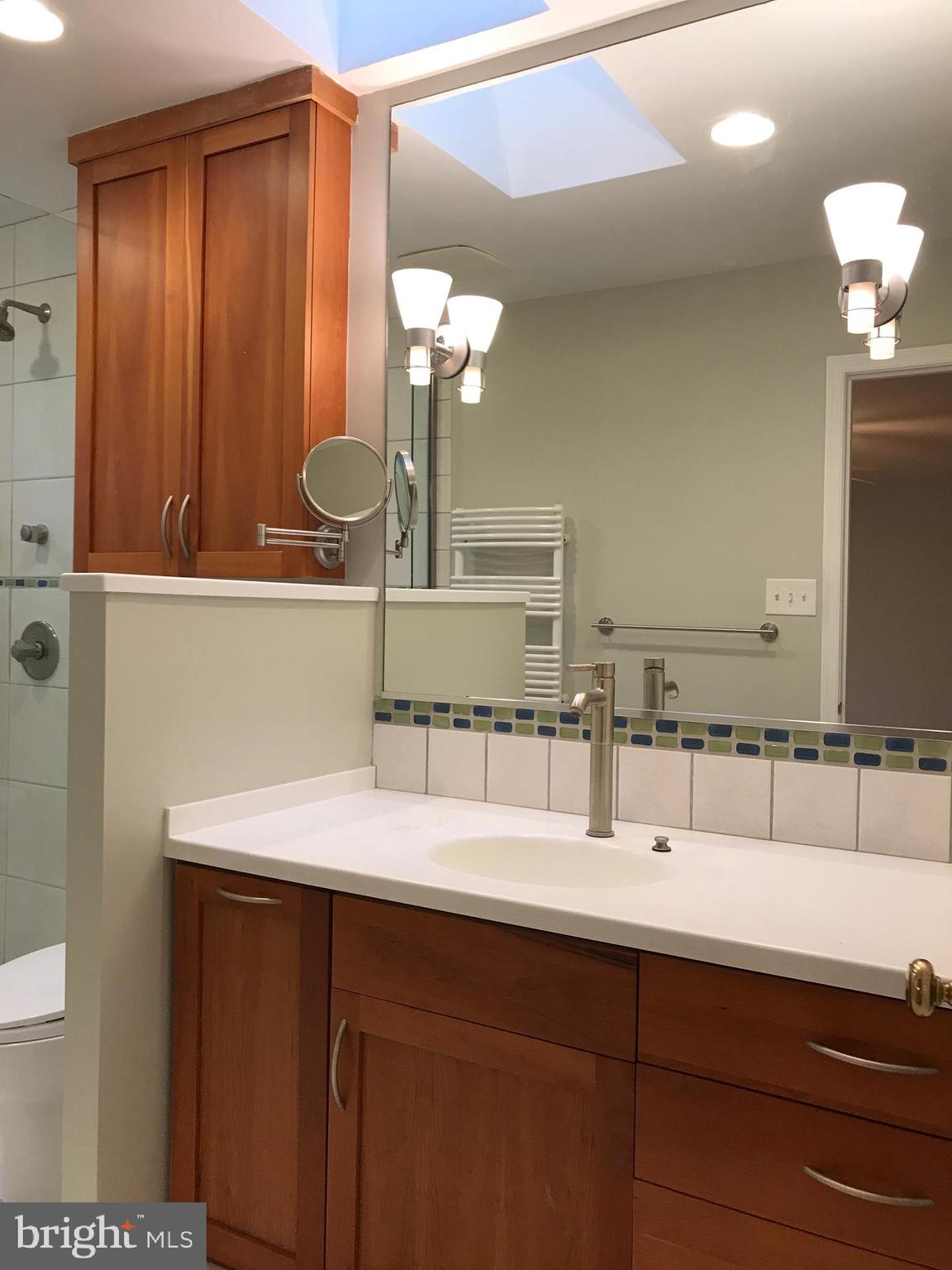 1941 Barton Hill Road Reston, VA 20191 - Photo 21 of 38 Master Bath with skylight