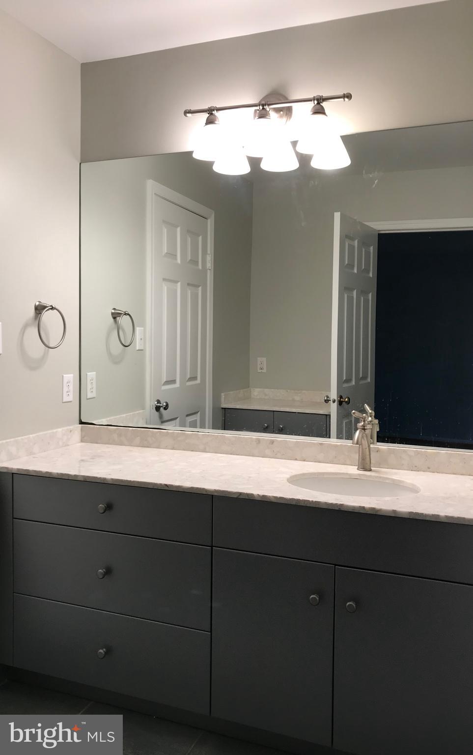 1941 Barton Hill Road Reston, VA 20191 - Photo 26 of 38 Hall bath